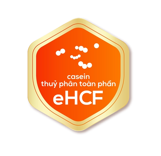 eHCF_logo