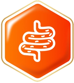 check-icon