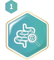 strategy-hexagon-left